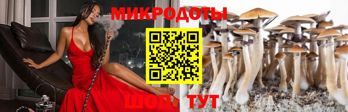 Тулун  Псилоцибиновые грибы GOLDEN TEACHER  Вход с VPN 