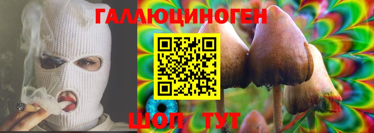 Галлюциногенные грибы прущие грибы Тулун